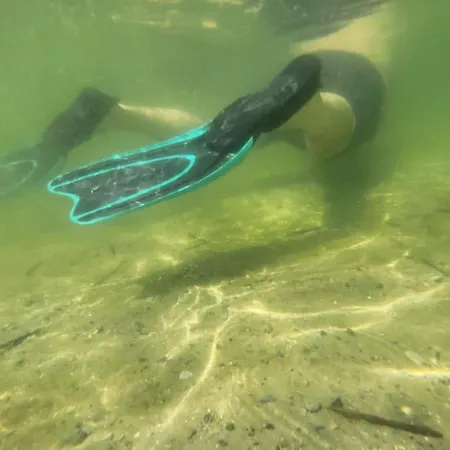 Wspanialy Caly 5 Sypialniowy Dom *